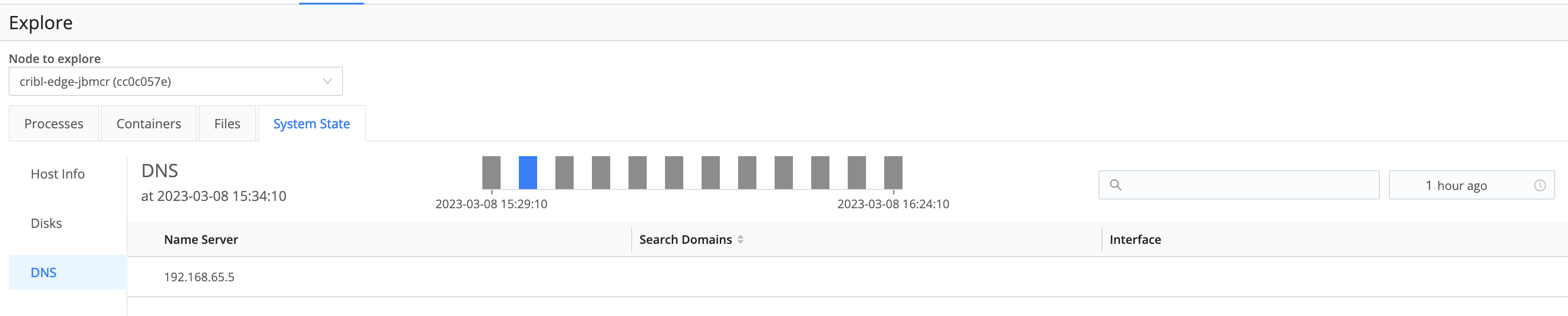 DNS tab