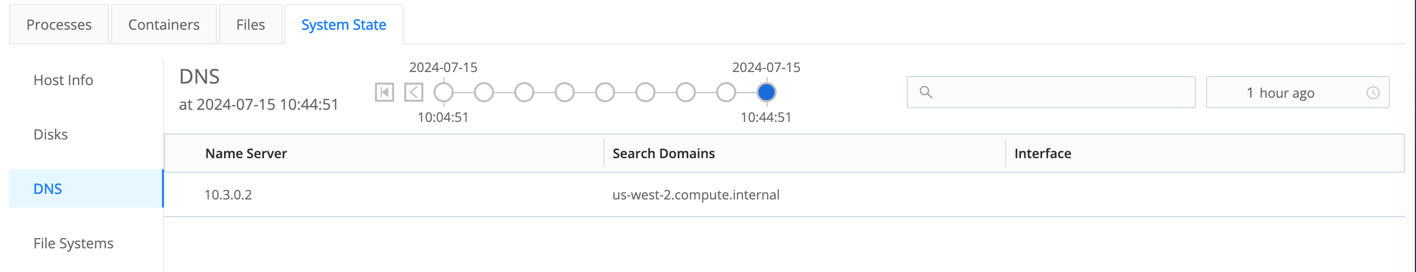 DNS tab