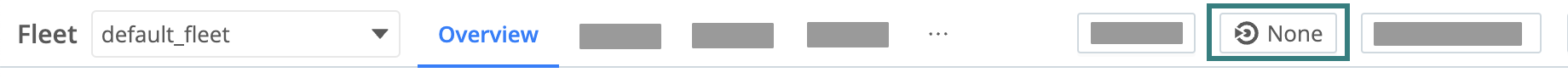 Target version button at the top of a selected Fleet